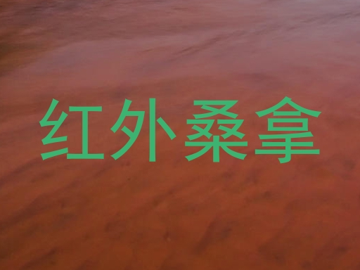 红外桑拿