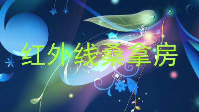 红外线桑拿房