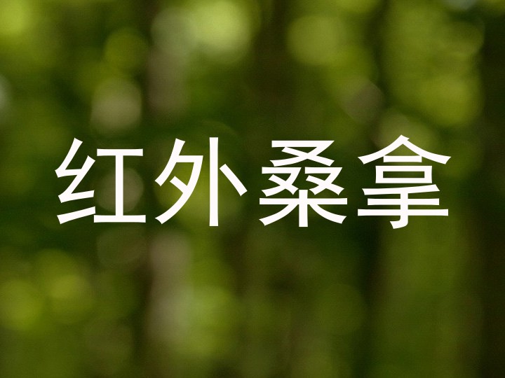红外桑拿