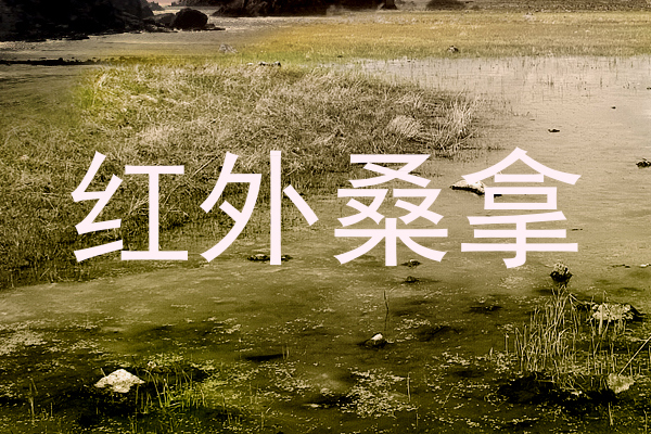 红外桑拿