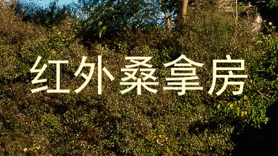 红外桑拿房