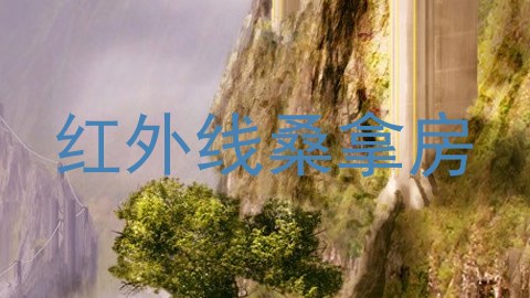 红外线桑拿房