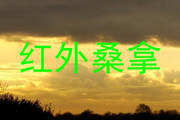 红外桑拿