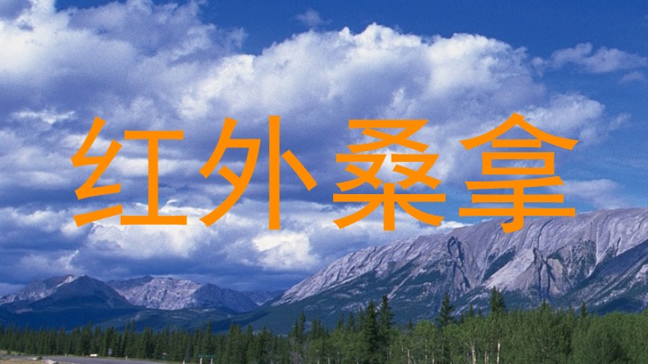 红外桑拿