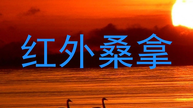 红外桑拿