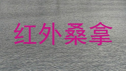 红外桑拿