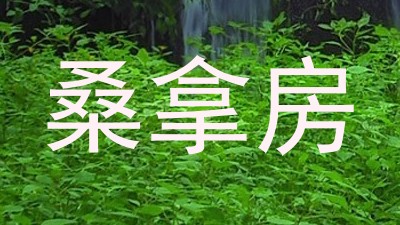 桑拿房