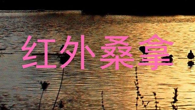 红外桑拿