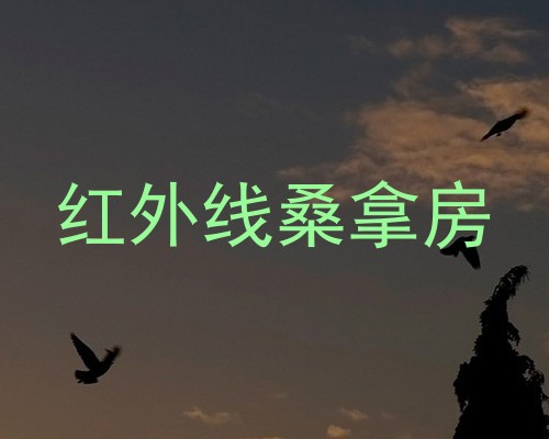 红外线桑拿房