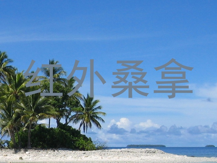 红外桑拿