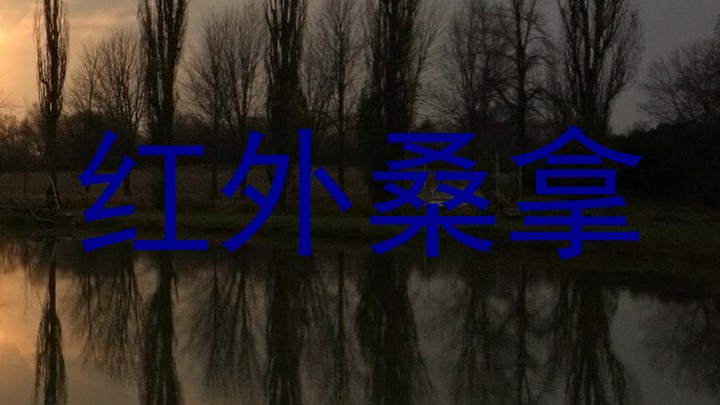 红外桑拿