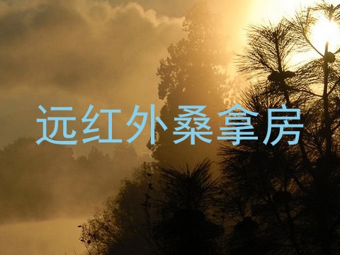 远红外桑拿房