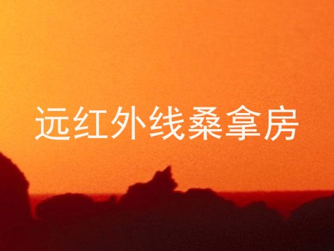 远红外线桑拿房
