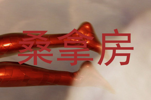 桑拿房