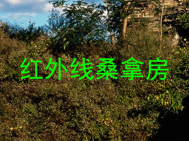 红外线桑拿房