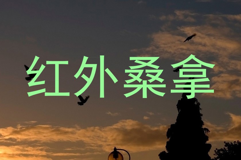 红外桑拿