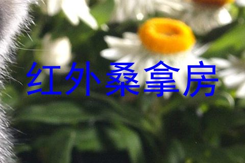 红外桑拿房