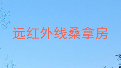 远红外线桑拿房