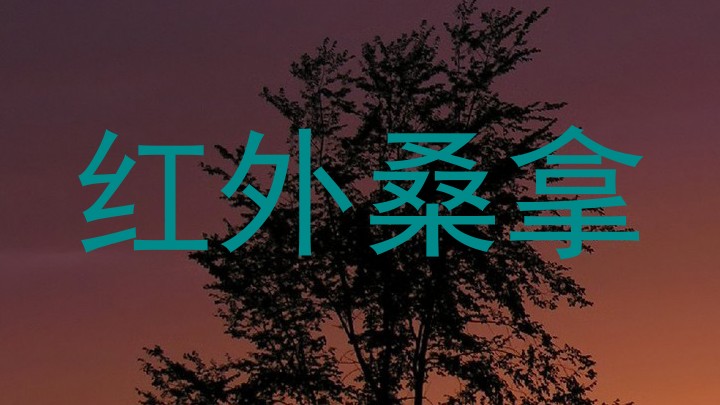 红外桑拿