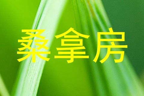 桑拿房