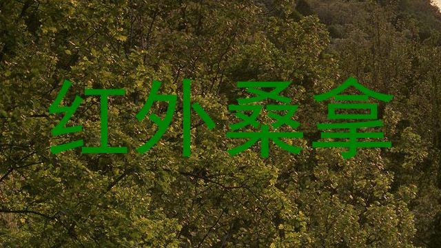 红外桑拿