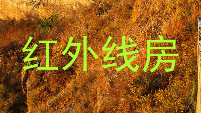红外线房