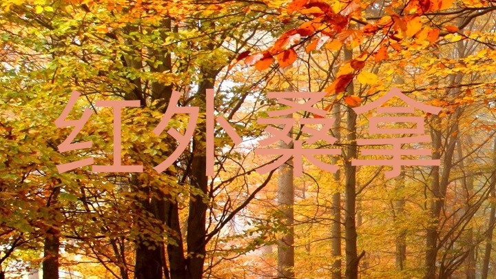 红外桑拿