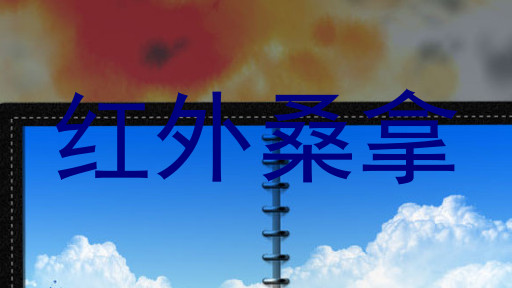 红外桑拿