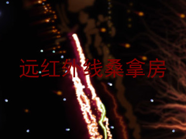 远红外线桑拿房