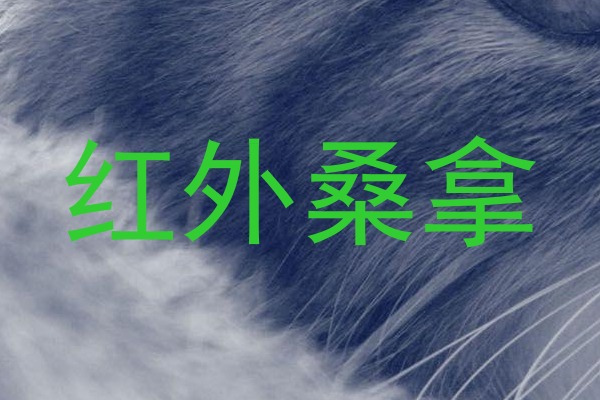 红外桑拿