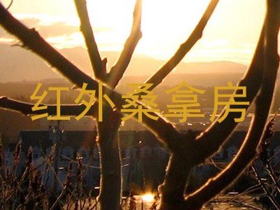 红外桑拿房
