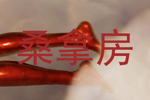 桑拿房