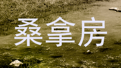 桑拿房