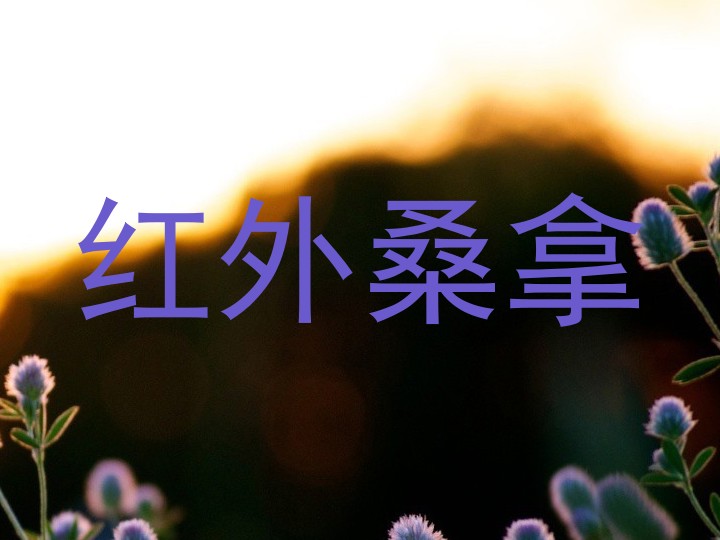 红外桑拿