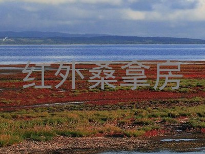 红外桑拿房