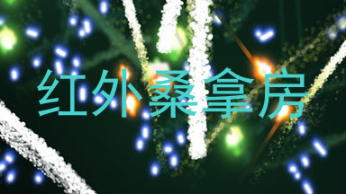 红外桑拿房