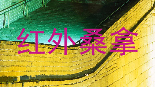 红外桑拿