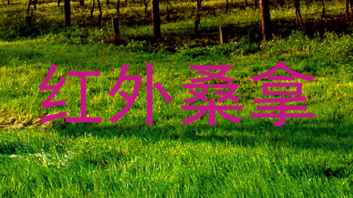 红外桑拿