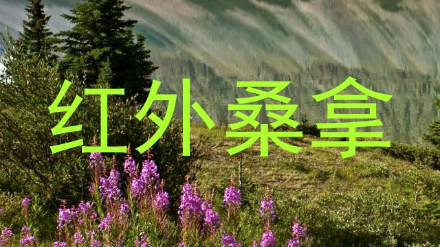 红外桑拿