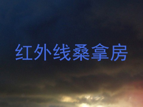 红外线桑拿房