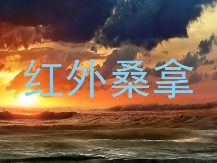 红外桑拿
