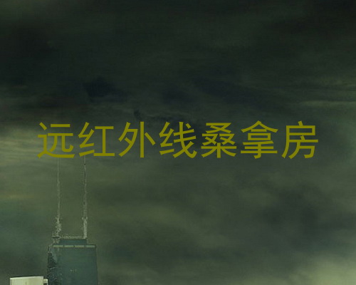 远红外线桑拿房