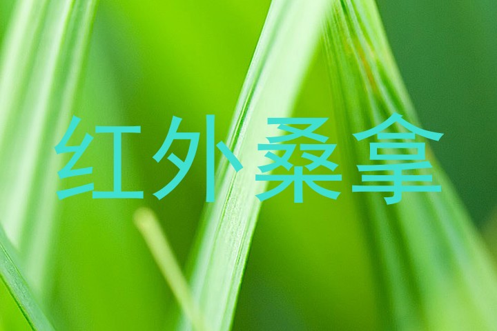红外桑拿