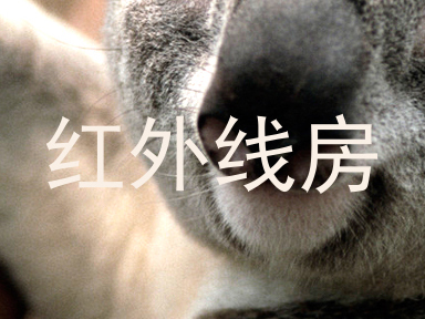 红外线房
