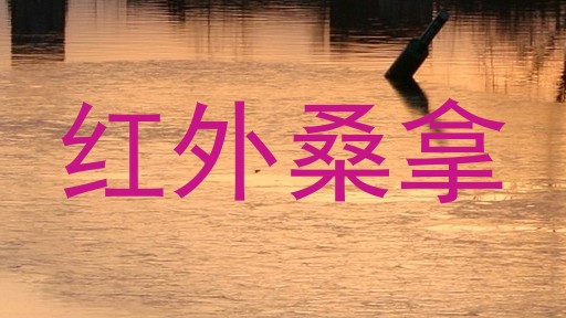红外桑拿