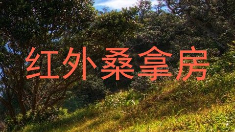 红外桑拿房