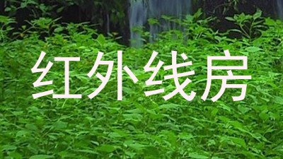 红外线房