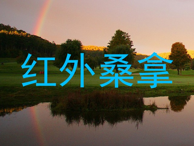 红外桑拿