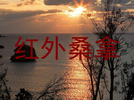 红外桑拿