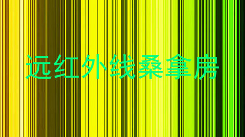 远红外线桑拿房